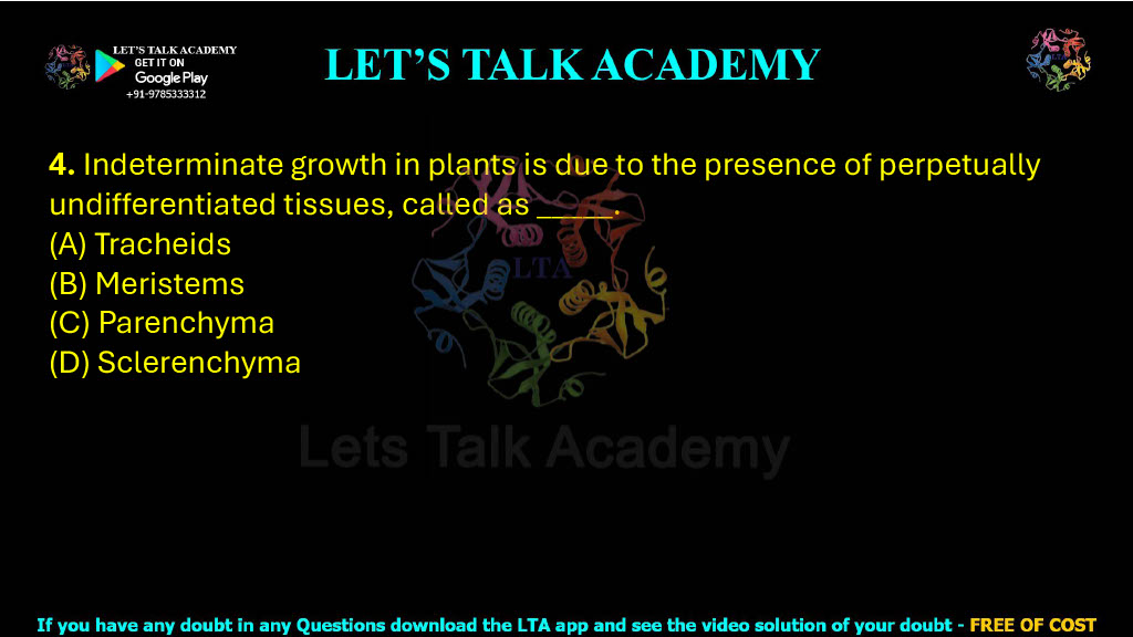 4. Indeterminate growth in plants is due to the presence of perpetually undifferentiated tissues, called as _____.  (A) Tracheids (B) Meristems (C) Parenchyma (D) Sclerenchyma