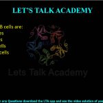 43. T cells and B cells are:  (A) Lymphocytes (B) Erythrocytes (C) Epithelial cells (D) Squamous cells