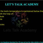 44. In humans, the testis temperature is maintained below the core body temperature with the help of: (A) Proximal tubule (B) Loop of Henle (C) Scrotum (D) Seminal vesicles