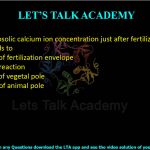 6. A rise in cytosolic calcium ion concentration just after fertilization in a sea urchin egg leads to  (A) Formation of fertilization envelope (B) Acrosomal reaction (C) Formation of vegetal pole (D) Formation of animal pole