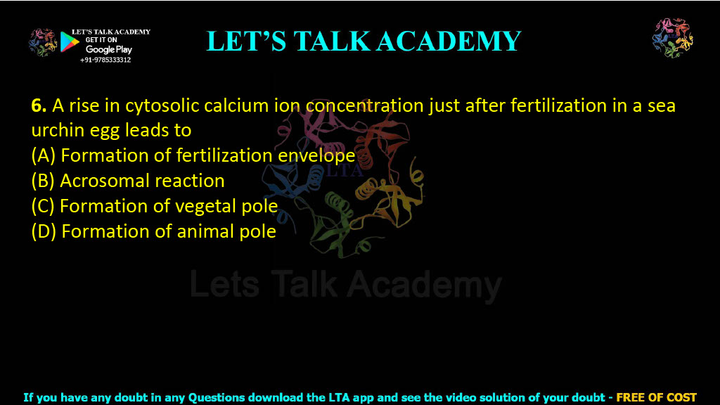 6. A rise in cytosolic calcium ion concentration just after fertilization in a sea urchin egg leads to  (A) Formation of fertilization envelope (B) Acrosomal reaction (C) Formation of vegetal pole (D) Formation of animal pole