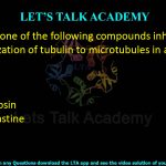 6. Which one of the following compounds inhibits the polymerization of tubulin to microtubules in animal cells? (2023) (A) ATP (B) Taxol (C) Thymosin (D) Vinblastine