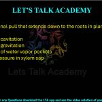 6. Transpirational pull that extends down to the roots in plants can be interrupted by  (A) Process of cavitation (B) Process of gravitation (C) Formation of water vapor pockets (D) Positive pressure in xylem sap