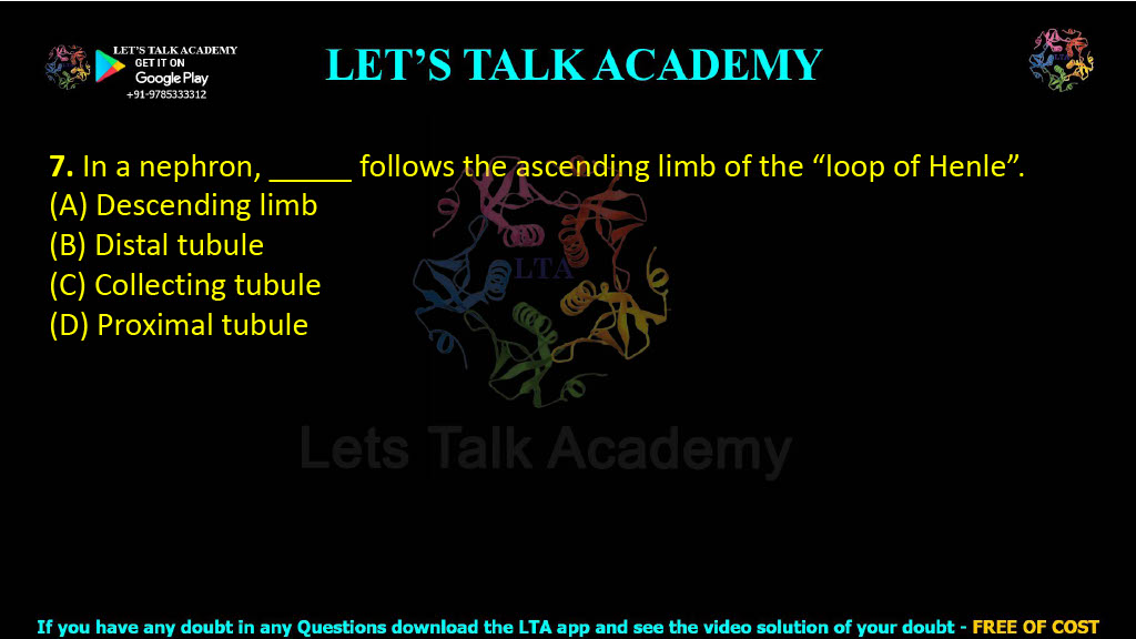 7. In a nephron, _____ follows the ascending limb of the “loop of Henle”.  (A) Descending limb (B) Distal tubule (C) Collecting tubule (D) Proximal tubule