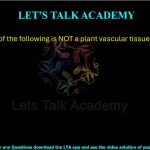 8. Which one of the following is NOT a plant vascular tissue?  (A) Phloem (B) Periderm (C) Stele (D) Xylem