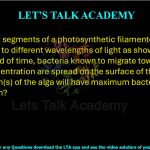 12. Different segments of a photosynthetic filamentous alga are exposed to different wavelengths of light as shown below. After a period of time, bacteria known to migrate toward high oxygen concentration are spread on the surface of the alga. Which region(s) of the alga will have maximum bacterial congregation? (A) P and R (B) P and Q (C) Only P (D) Only Q