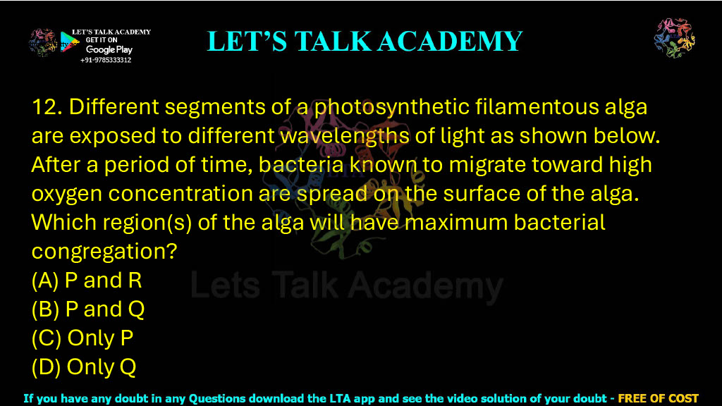 12. Different segments of a photosynthetic filamentous alga are exposed to different wavelengths of light as shown below. After a period of time, bacteria known to migrate toward high oxygen concentration are spread on the surface of the alga. Which region(s) of the alga will have maximum bacterial congregation? (A) P and R (B) P and Q (C) Only P (D) Only Q