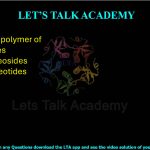 17. RNA is a polymer of (A) glycosides (B) ribonucleosides (C) ribonucleotides (D) riboses