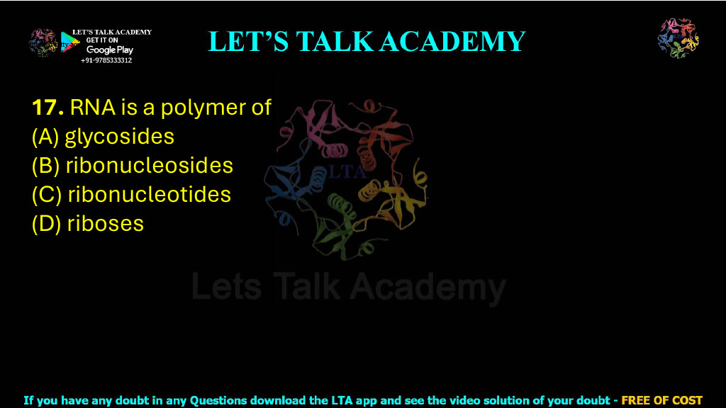 17. RNA is a polymer of (A) glycosides (B) ribonucleosides (C) ribonucleotides (D) riboses