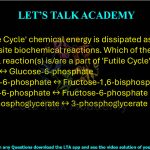 23. In 'Futile Cycle' chemical energy is dissipated as heat due to two opposite biochemical reactions. Which of the following biochemical reaction(s) is/are a part of 'Futile Cycle'?                          (A) Glucose ↔ Glucose-6-phosphate  (B) Fructose-6-phosphate ↔ Fructose-1,6-bisphosphate  (C) Glucose-6-phosphate ↔ Fructose-6-phosphate  (D)1,3-bisphosphoglycerate ↔ 3-phosphoglycerate