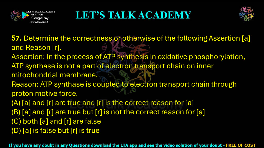 57. Determine the correctness or otherwise of the following Assertion [a] and Reason [r].  Assertion: In the process of ATP synthesis in oxidative phosphorylation, ATP synthase is not a part of electron transport chain on inner mitochondrial membrane. Reason: ATP synthase is coupled to electron transport chain through proton motive force. (A) [a] and [r] are true and [r] is the correct reason for [a] (B) [a] and [r] are true but [r] is not the correct reason for [a] (C) both [a] and [r] are false (D) [a] is false but [r] is true