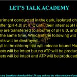 58. In an experiment conducted in the dark, isolated chloroplasts are kept in buffer (pH 4.0) at 4 °C until their internal pH is equal to 4.0. Then, they are transferred to a buffer of pH 8.0, and ADP and Pi are added at the same time. Which of the following will happen?  (A) Chloroplasts will be destroyed (B) Chlorophyll in the chloroplast will release bound Magnesium (C) Chloroplasts will be intact but no ATP will be produced (D) Chloroplasts will be intact and ATP will be produced