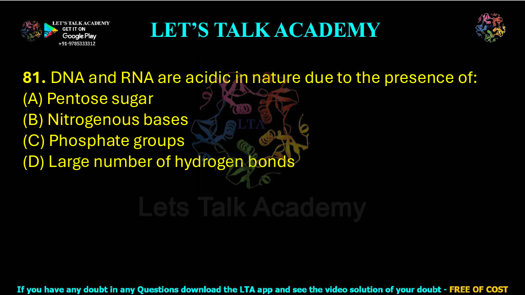 81. DNA and RNA are acidic in nature due to the presence of:  (A) Pentose sugar (B) Nitrogenous bases (C) Phosphate groups (D) Large number of hydrogen bonds