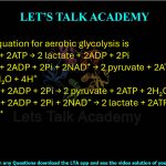 9. The net equation for aerobic glycolysis is  (A) Glucose + 2ATP → 2 lactate + 2ADP + 2Pi (B) Glucose + 2ADP + 2Pi + 2NAD⁺ → 2 pyruvate + 2ATP + 2NADH + 2H₂O + 4H⁺ (C) Glucose + 2ADP + 2Pi → 2 pyruvate + 2ATP + 2H₂O (D) Glucose + 2ADP + 2Pi + 2NAD⁺ → 2 lactate + 2ATP + 2NADH + 2H₂O + 4H⁺