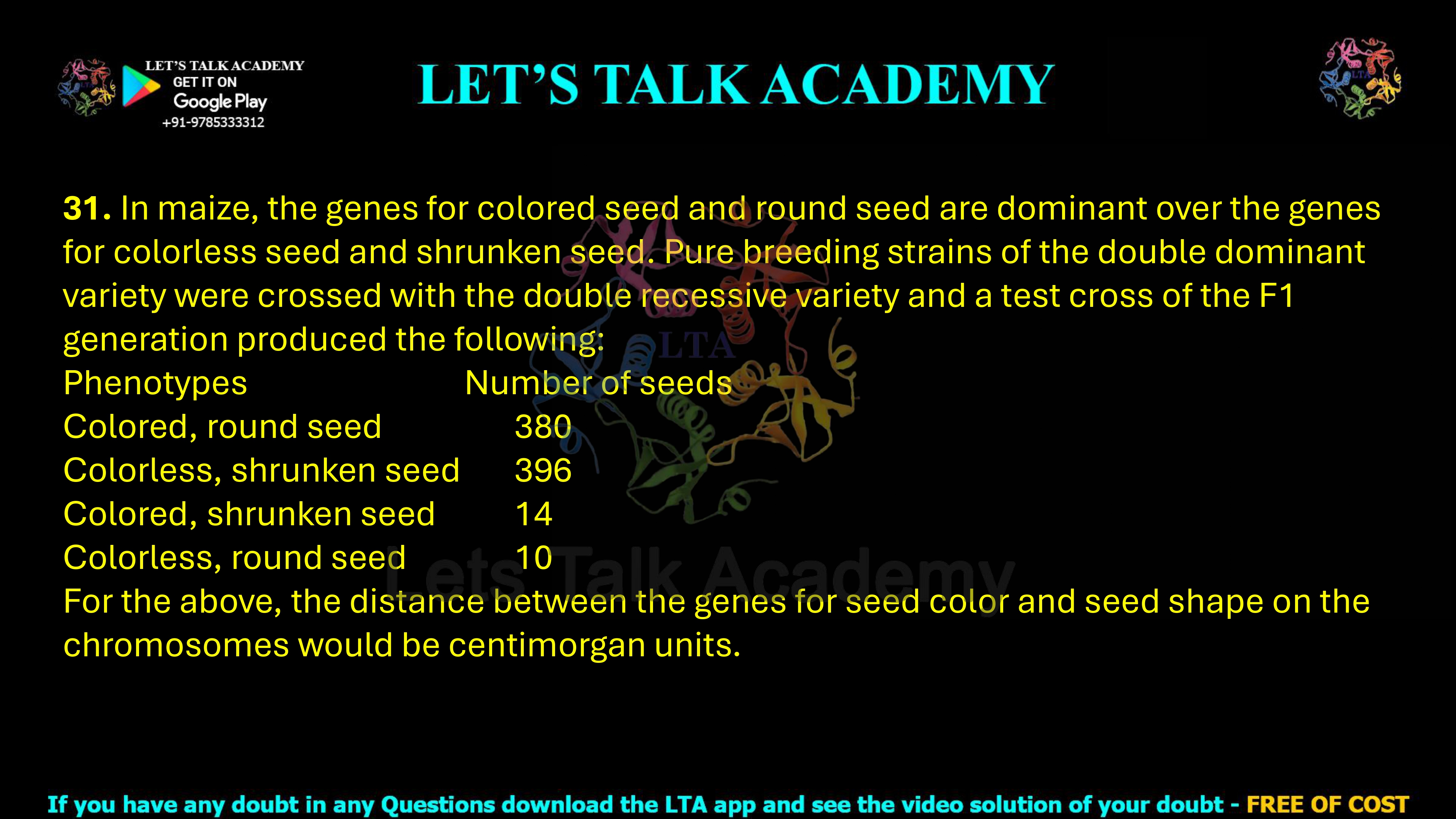 31. In maize, the genes for colored seed and round seed are dominant over the genes for colorless seed and shrunken seed. Pure breeding strains of the double dominant variety were crossed with the double recessive variety and a test cross of the F1 generation produced the following:  Phenotypes                            Number of seeds Colored, round seed                   380 Colorless, shrunken seed           396 Colored, shrunken seed              14 Colorless, round seed                  10 For the above, the distance between the genes for seed color and seed shape on the chromosomes would be centimorgan units.