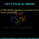 7. The number of “Barr Bodies” present in a somatic cell of a woman suffering from Turner syndrome is ____.  (A) 0 (B) 1 (C) 2 (D) 3