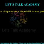 18. Which color of light excites a natural GFP to emit green fluorescence?  (A) Blue (B) Green (C) Infrared (D) Red