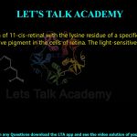 25. The reaction of 11-cis-retinal with the lysine residue of a specific protein forms the light- sensitive pigment in the cells of retina. The light-sensitive pigment is an (A) amide. (B) acid. (C) anhydride. (D) imine.