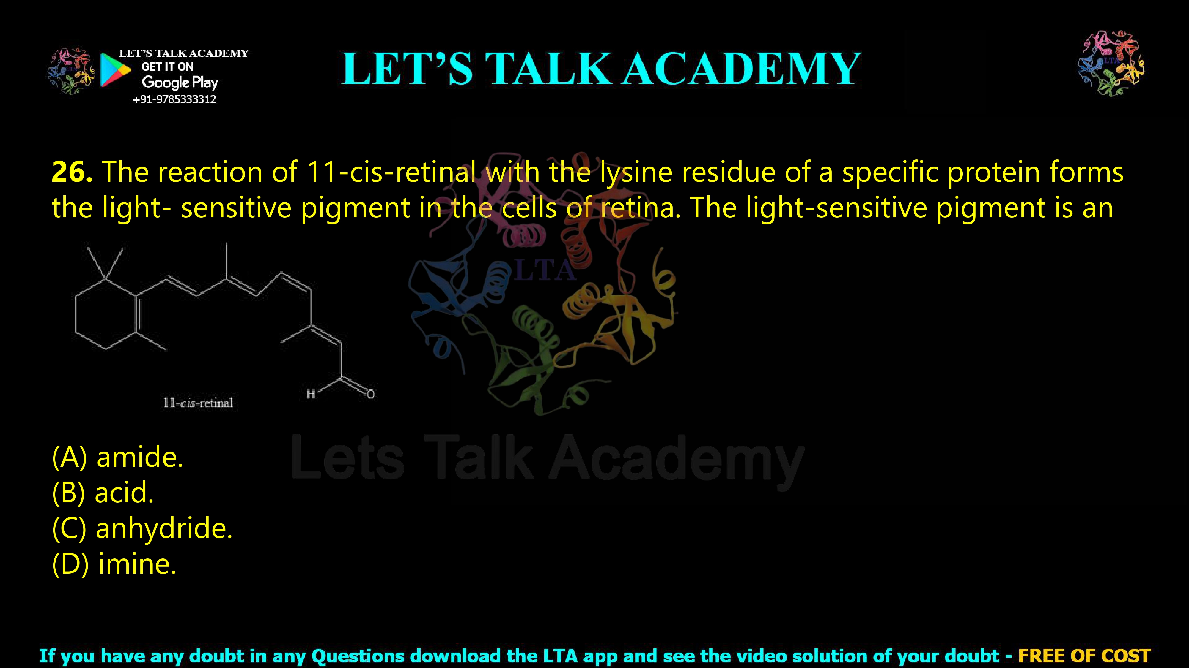 25. The reaction of 11-cis-retinal with the lysine residue of a specific protein forms the light- sensitive pigment in the cells of retina. The light-sensitive pigment is an (A) amide. (B) acid. (C) anhydride. (D) imine.