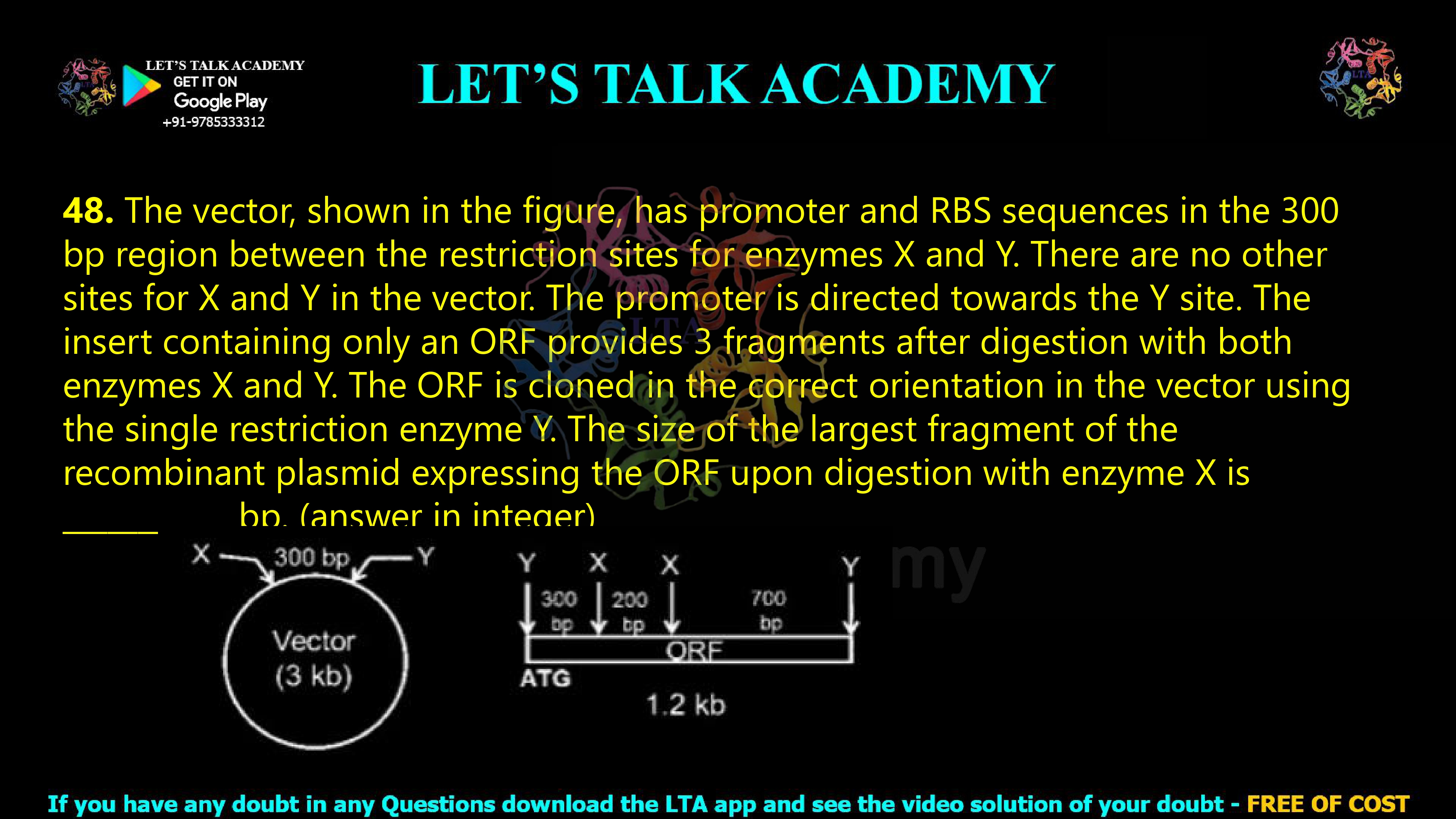 47. The vector, shown in the figure, has promoter and RBS sequences in the 300 bp region between the restriction sites for enzymes X and Y. There are no other sites for X and Y in the vector. The promoter is directed towards the Y site. The insert containing only an ORF provides 3 fragments after digestion with both enzymes X and Y. The ORF is cloned in the correct orientation in the vector using the single restriction enzyme Y. The size of the largest fragment of the recombinant plasmid expressing the ORF upon digestion with enzyme X is ___________ bp. (answer in integer)            