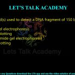 9. The method(s) used to detect a DNA fragment of 150 base pairs is/are     (A) agarose gel electrophoresis  (B) northern blotting  (C) polyacrylamide gel electrophoresis  (D) western blotting