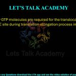 11. How many GTP molecules are required for the translocation of tRNA from P site to E site during translation elongation process in bacteria?   