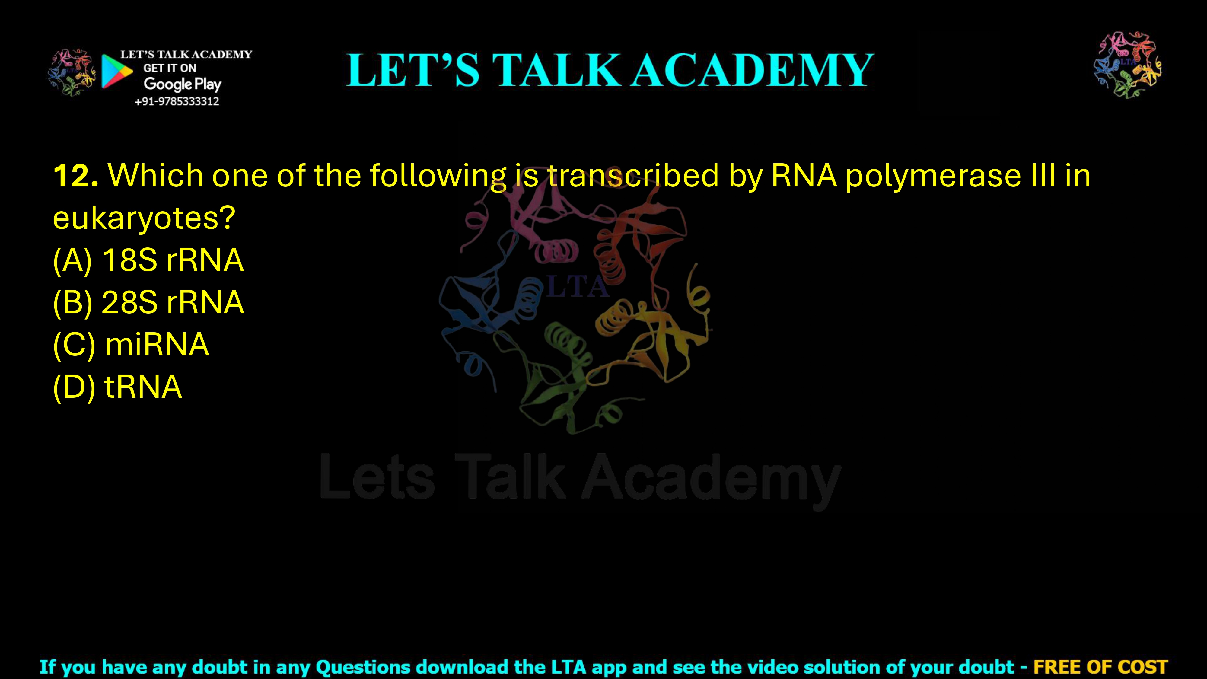 12. Which one of the following is transcribed by RNA polymerase III in eukaryotes?  (A) 18S rRNA (B) 28S rRNA (C) miRNA (D) tRNA