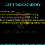 13. Tetracycline binds to the  (A) 30S subunit and inhibits aminoacyl-tRNA binding (B) 50S subunit and inhibits aminoacyl-tRNA binding (C)30S subunit and prevents codon:anticodon interactions (D) 50S subunit and blocks exit of growing polypeptide chain