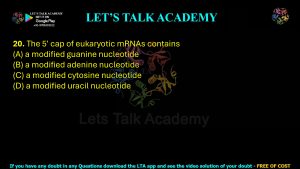 IIT JAM Biotechnology Previous Year Question paper Topic Molecular Biology