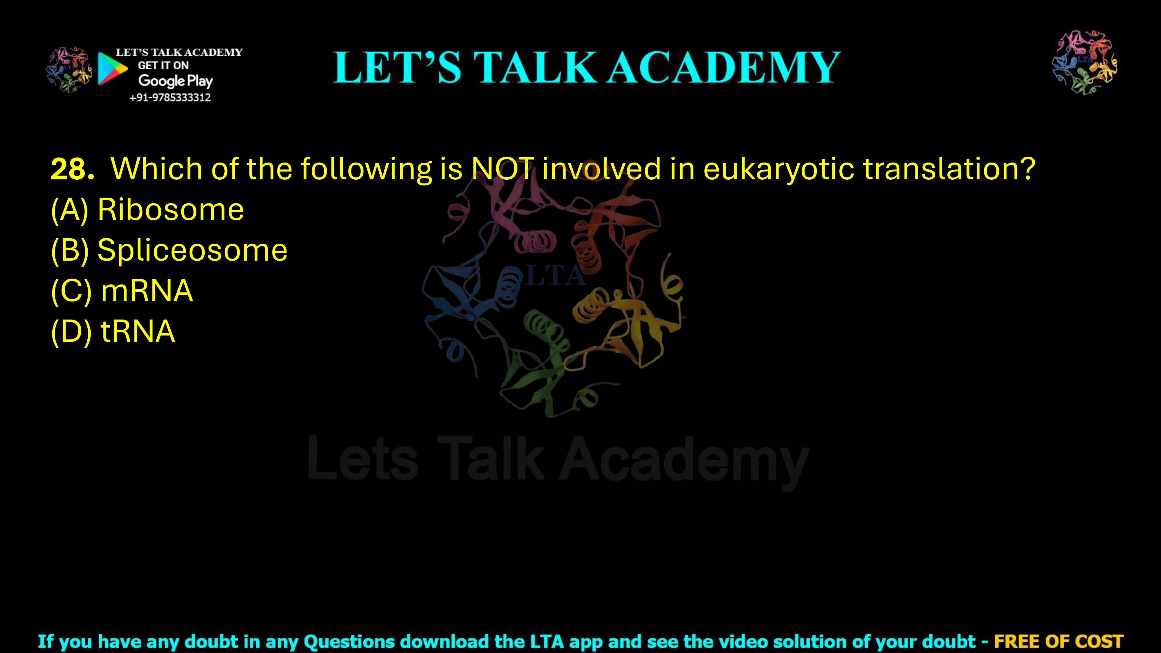 28. Which of the following is NOT involved in eukaryotic translation?   (A) Ribosome   (B) Spliceosome (C) mRNA (D) tRNA