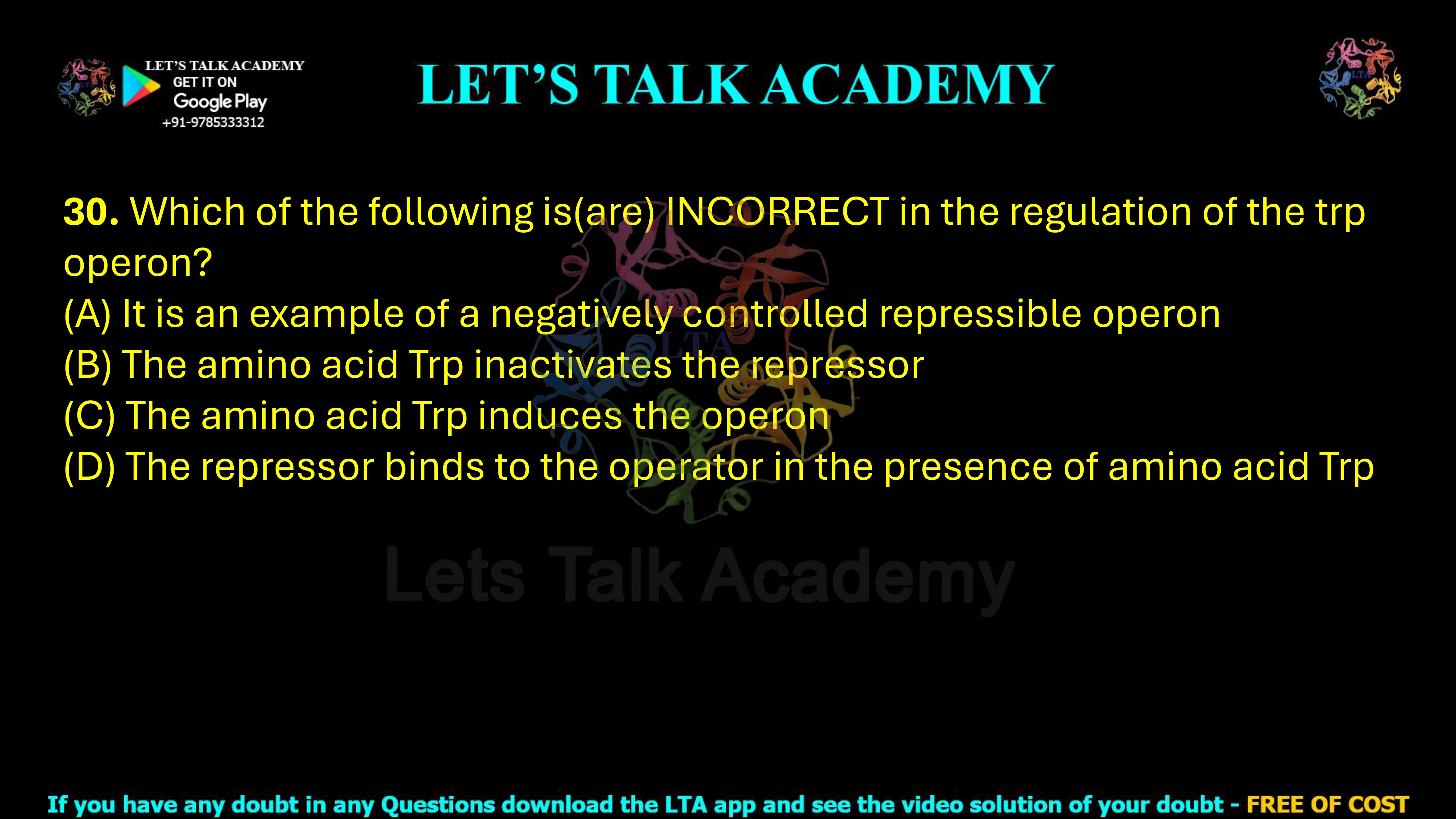 30. Which of the following is(are) INCORRECT in the regulation of the trp operon?  (A) It is an example of a negatively controlled repressible operon (B) The amino acid Trp inactivates the repressor (C) The amino acid Trp induces the operon (D) The repressor binds to the operator in the presence of amino acid Trp