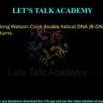 33.  A 152 nm long Watson-Crick double helical DNA (B-DNA) will contain_____turns.
