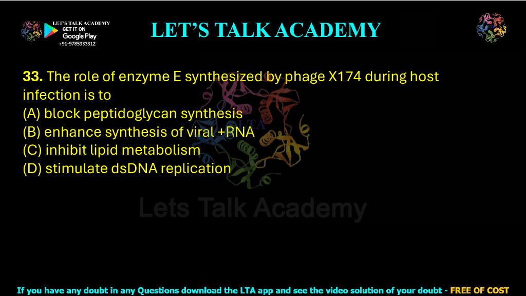 33. The role of enzyme E synthesized by phage X174 during host infection is to  (A) block peptidoglycan synthesis (B) enhance synthesis of viral +RNA (C) inhibit lipid metabolism        (D) stimulate dsDNA replication