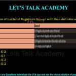 49. Match the type of bacterial flagella in Group I with their definitions in Group II.  Group I Group II (P) Monotrichous (1) Flagella only at both poles of the cell (Q) Peritrichous (2) Two or more flagella at one pole of the cell (R) Lophotrichous (3) Flagella distributed over the entire cell surface (S) Amphitrichous (4) A single polar flagellum (A) P-4, Q-1, R-2, S-3 (B) P-4, Q-3, R-2, S-1 (C) P-4, Q-3, R-1, S-2 (D) P-3, Q-1, R-4, S-2