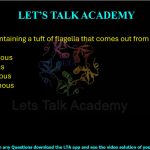 5. Bacteria containing a tuft of flagella that comes out from one pole is called ___. (A) Lophotrichous (B) Peritrichous (C) Monotrichous (D) Amphitrichous