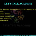 7. The bacterium that can tolerate high concentrations of salt and also ferment mannitol is (A) Staphylococcus aureus (B) Staphylococcus epidermidis (C) Streptococcus pyogenes (D) Serratia marcescens
