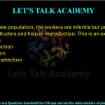 7. In a honey bee population, the workers are infertile but protect the queen from intruders and help in reproduction. This is an example of (2022) (A) K selection (B) Sexual selection (C) Kin selection (D) Disruptive selection