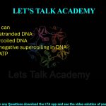 8. DNA gyrase can (A) cut single-stranded DNA (B) relax supercoiled DNA (C) introduce negative supercoiling in DNA (D) not utilize ATP