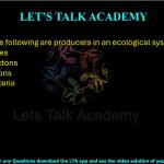 8. Which of the following are producers in an ecological system?  (A) Macrophytes (B) Phytoplanktons (C) Zooplanktons (D) Cyanobacteria