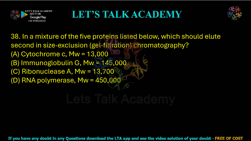 38. In a mixture of the five proteins listed below, which should elute second in size-exclusion (gel-filtration) chromatography? A. Cytochrome c (Mw = 13,000) B. Immunoglobulin G (Mw = 145,000) C. Ribonuclease A (Mw = 13,700) D. RNA polymerase (Mw = 450,000)