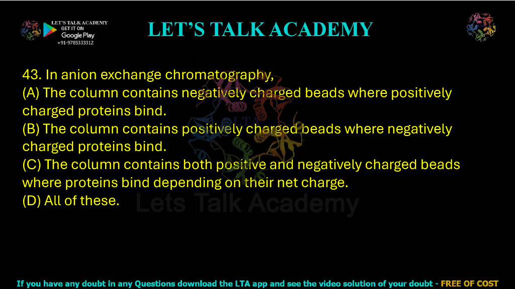 43. In anion exchange chromatography, A. The column contains negatively charged beads where positively charged proteins bind B. The column contains positively charged beads where negatively charged proteins bind C. The column contains both positive and negatively charged beads where proteins bind depending upon their net charge D. All of these