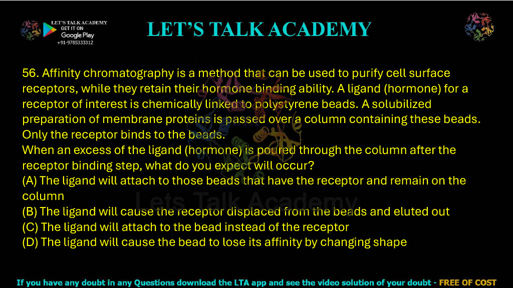 56. Affinity chromatography is a method that can be used to purify cell surface receptors, while they retain their hormone binding ability. A ligand (hormone) for a receptor of interest is chemically linked to polystyrene beads. A solubilized preparation of membrane proteins is passed over a column containing these beads. Only the receptor binds to the beads. When an excess of the ligand (hormone) is poured through the column after the receptor binding step, what do you expect will occur? A. The ligand will attach to those beads that have the receptor and remain on the column B. The ligand will cause the receptor to be displaced from the beads and eluted out C. The ligand will attach to the bead instead of the receptor D. The ligand will cause the bead to lose its affinity by changing shape