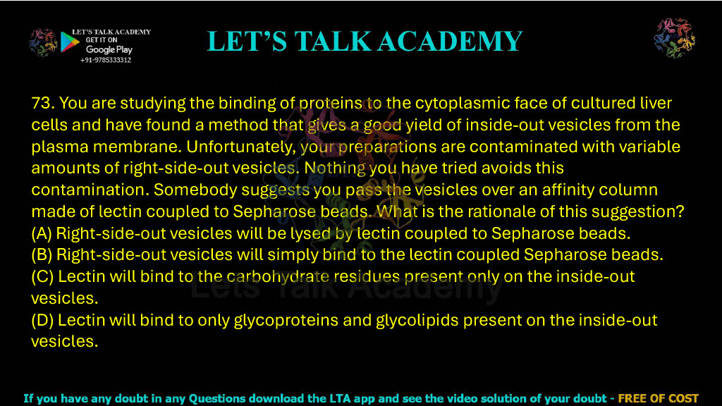 73. You are studying the binding of proteins to the cytoplasmic face of cultured liver cells and have found a method that gives a good yield of inside-out vesicles from the plasma membrane. Unfortunately, your preparations are contaminated with variable amounts of right-side-out vesicles. Nothing you have tried avoids this contamination. Somebody suggests that you pass the vesicles over an affinity column made of lectin coupled to Sepharose beads. What is the rationale of this suggestion? (A) Right-side-out vesicles will be lysed by lectin coupled to Sepharose beads. (B) Right-side-out vesicles will simply bind to the lectin coupled Sepharose beads. (C) Lectin will bind to the carbohydrate residues present only on the inside out vesicles. (D) Lectin will bind to only glycoproteins and glycolipids present on the inside out vesicles.