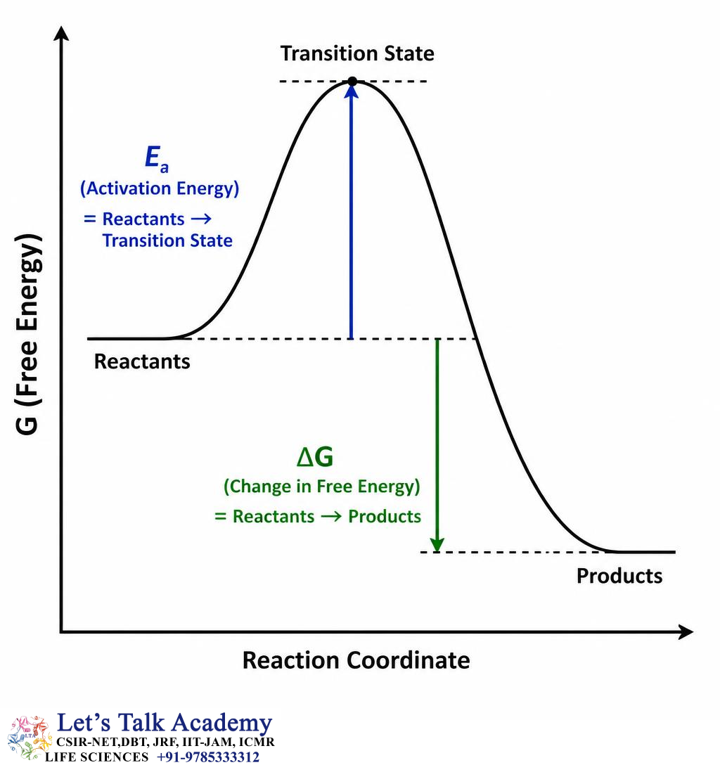Activation Energy Versus ΔG