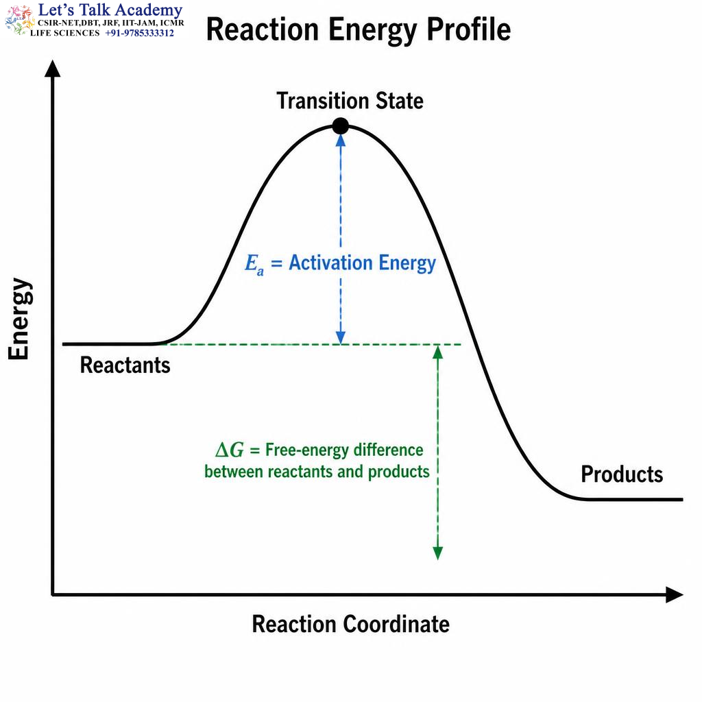 Activation Energy and Transition State