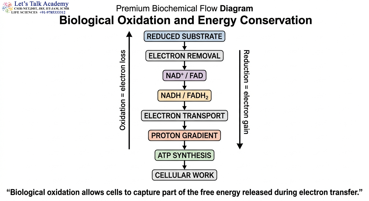 Biological Oxidation