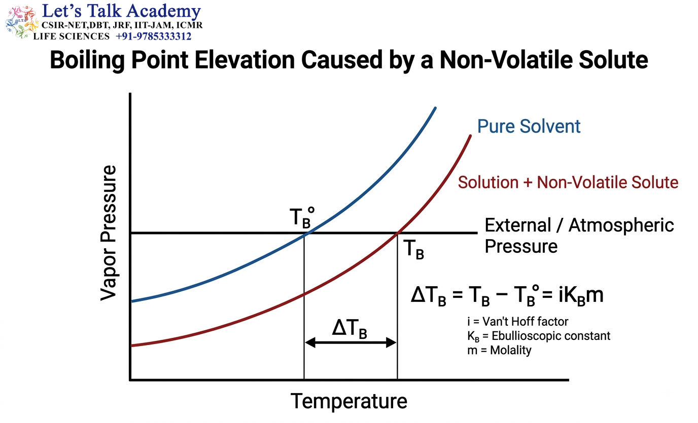 Boiling Point Elevation Caused by a Non-Volatile Solute