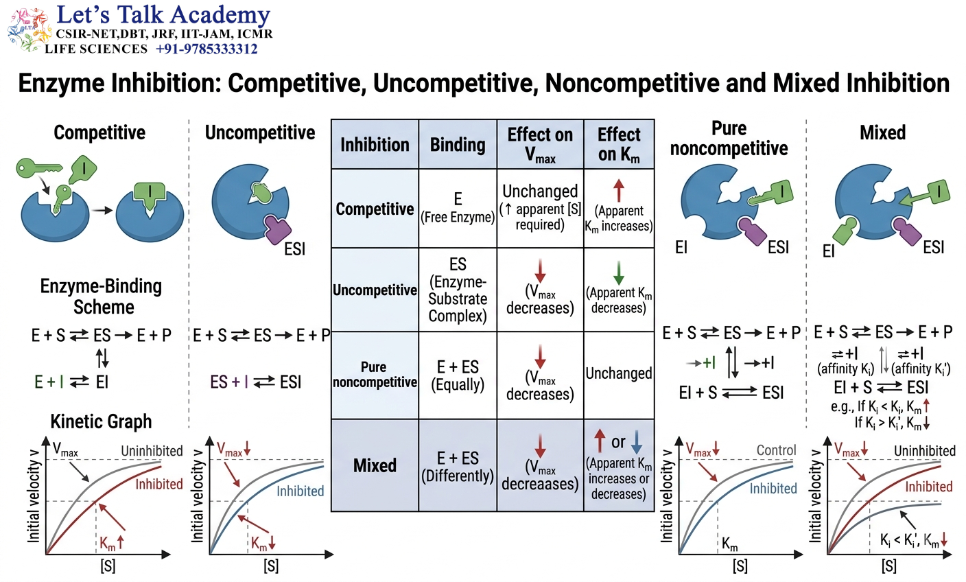 Enzyme Inhibition: Competitive, Uncompetitive, Noncompetitive and Mixed Inhibition