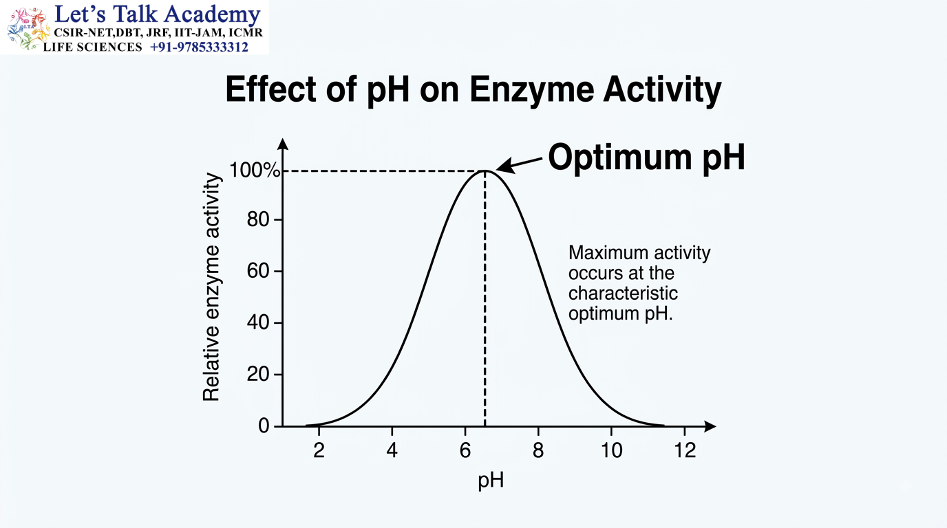 Effect of pH on Enzyme Activity