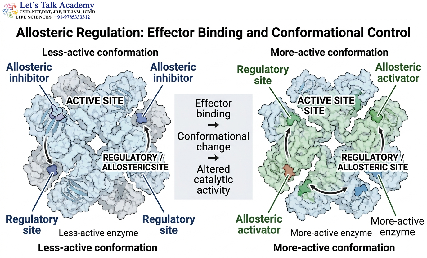 Effector Binding and Conformational Control